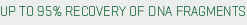 Purify PCR Efficiently