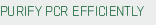 Purify PCR Efficiently